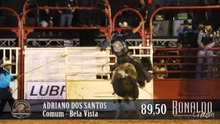 Rodeio de Palmital 2014  QUINTA [upl. by Ysirhc571]