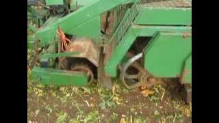 Beet Harvesting 20111 [upl. by Warp]