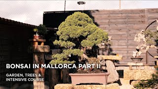 Bonsai in Mallorca II part one [upl. by Whitcomb123]