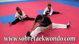 Entrenamiento de movilidad articular en Taekwondo [upl. by Yenot]