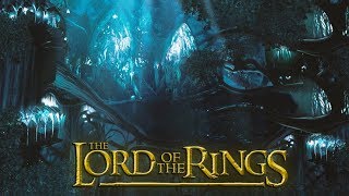 Lothlórien ◎ Lord of the Rings ASMR Wind in the Trees  Ambience  Cinemagraph [upl. by Jaquelyn555]