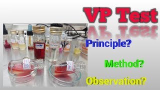 Voges Proskaur Test Microbiology [upl. by Cianca]