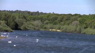 Ruislip Lido Lake [upl. by Kerrison584]