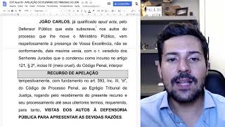 Dica de modelo de interposição da Apelação [upl. by Solakcin]