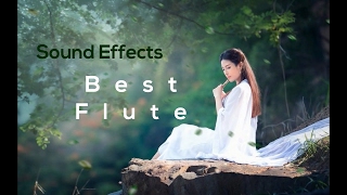 Best Flute Ringtone  Sound Effects [upl. by Archambault]