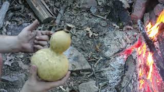 Making a Gourd water bottle [upl. by Llevart]