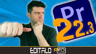 Lo Bueno y lo Malo del Panel IMPORTAR y EXPORTAR  Premiere Pro 223 [upl. by Kila]