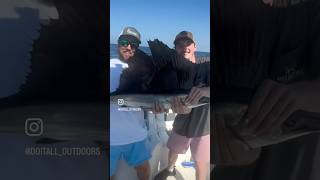 Catching Sailfish off a Carolina Skiff is next level fun 🎣 [upl. by Stelle]