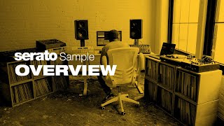 Serato Sample  Sampling and Stems Plugin [upl. by Tremann556]