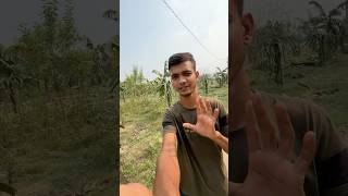 Farm pe Ek Sat 3 Kaam minivlog shorts farming aftabvlog vlog farmvlog youtubeshorts [upl. by Fania]