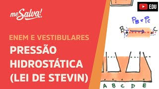 Me Salva HID07  Hidrostática  Pressão Hidrostática Lei de Stevin [upl. by Liahcim]