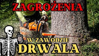 Zagrożenia w zawodzie DRWALA  Okiem ZULa [upl. by Aramaj]