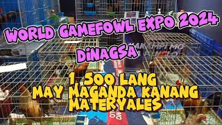 WORLD GAMEFOWL EXPO 2024 ep6 DINAGSA [upl. by Isdnyl]