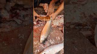 Anchovies Fish cutting into small Pieces  Fish Cutting Skills bakedfish fishpie fishcut [upl. by Akirdnuhs]