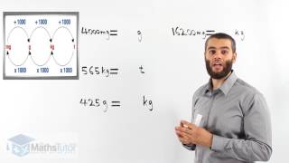 43 Converting Units of Mass [upl. by Zurc240]