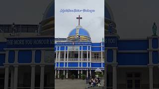 Infant Jesus Shrine  Viveknagar  Bangalore  infantjesus infantjesusshrine shortsyoutubeshorts [upl. by Isbella]