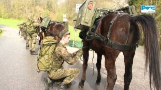 Arbeiten in Bayern Tragtierführer bei der Bundeswehr [upl. by Macilroy]