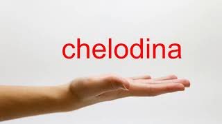 How to Pronounce chelodina  American English [upl. by Asirram]