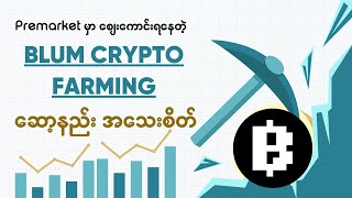 How to play BLUM Crypto Farming Game Blum ဆော့နည်း အသေးစိတ် blum hamsterkombat earnmoneyonline [upl. by Server]