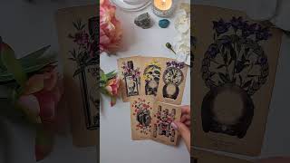 Poruka univerzuma za vas ✨🤍 tarotcitanje tarotandorcle 39tarot citanjetarota tarottumacenje [upl. by Eilrebmik547]