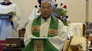 “Ordinary Miracles Overcoming Otherness” 2024630 Sermon by Father Paul Abernathy [upl. by Scopp71]