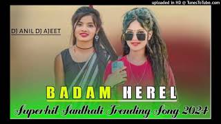 BadamHerellNewSanthaliDjSong2024SanthaliDjRemix2024BadamHerelKachhaBadamDjAniL1 [upl. by Coffin]