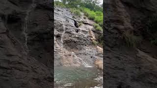 Kamshet Punewaterfall pune viralvideo viralshort viralreels trending [upl. by Naples157]