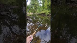 Fall fishing for bluegill and bass in historic New England fishing fall travel [upl. by Ttesil]