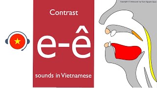 🇻🇳 Vietnamese  e  ê sound Learn sound system in Vietnamese Vietsound [upl. by Amehsyt915]