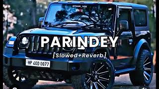 parindey slowedreverb [upl. by Hakim]