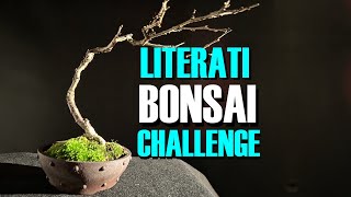 Literati Bonsai Challenge [upl. by Rasec]