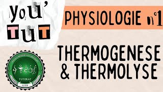 📚YOUTUT📚  PHYSIOLOGIE  LA THERMOGENESE ET LA THERMOLYSE [upl. by Carolan120]