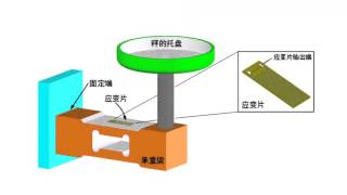 21 5 1A 电子秤 [upl. by Siraj]