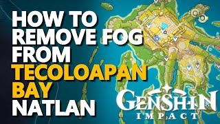 How to remove fog from Natlan Tecoloapan Bay Genshin Impact [upl. by Aiynot]