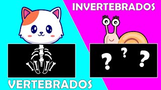 ANIMALES VERTEBRADOS E INVERTEBRADOS para niños 🐸🦁🐘🐟🐌 Videos Educativos [upl. by Ariel920]