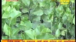 Ayurvedic Medicine Naagdon नागदोन Part 1 Acharya Balkrishna [upl. by Phillips]