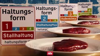 Tierhaltungskompass gibt Fleischkäufern Orientierung  ntv [upl. by Janka493]