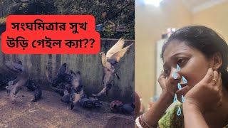 বাপ্পাদিত্যক বিয়া করে সংঘমিত্রার জীবনটা নষ্ট হয়া গেইল family vlog icchekatha [upl. by Zulaledairam470]