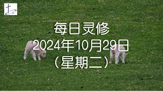 每日灵修2024年10月29日（星期二）腓立比书4章4至7节 English translation in description box [upl. by Norford]