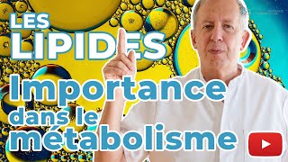 Importance des lipides dans le métabolisme │ Médecine AntiAge [upl. by Assenov]