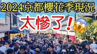 【日本旅遊】旅遊體驗太悲慘了！2024年京都櫻花季现况🌸京都賞櫻名所・日本櫻花季・京都自由行攻略・京都旅遊・京都美食・日本自由行・清水寺・花見小路・八阪神社・祇園白川・京都站・Japan Kyoto [upl. by Benjamen819]