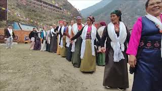 tamang culture song of Rasuwa  Chilime Dhunche Goljung Shyafru Barkhu Langtang Goljung thuman [upl. by Erreid819]