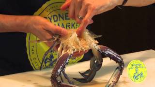 How to prepare a Blue Swimmer Crab for cooking [upl. by Robinet]