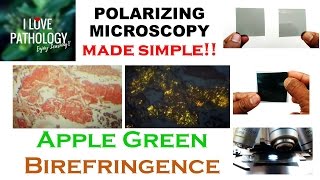 POLARIZING MICROSCOPY made SIMPLE Apple Green Birefringence [upl. by Athalia]