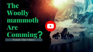 Woolly Mammoths Are Comming  Bringing BackThe Woolly Mammoth 🦣 [upl. by Boone]