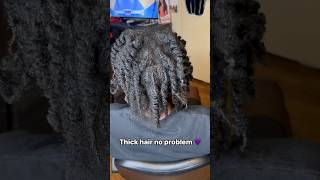 4C hair 😍 4c hairstyles howto shortvideo haircare pov braids twist shorts short [upl. by Klein853]