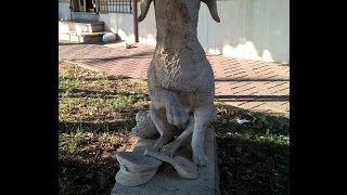 LAMPO IL CANE FERROVIERE DELLA STAZIONE DI CAMPIGLIA MARITTIMA [upl. by Denice]