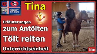 Tina Pferdetraining Tipps aus Unterricht Tölt reiten antölten Tanja Schienagel [upl. by Atnahc]