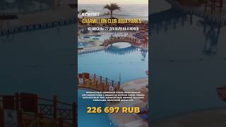 Египет на новый год туры travel hotel турагент юмор beach таиланд Египет отдых shorts [upl. by Kieran857]