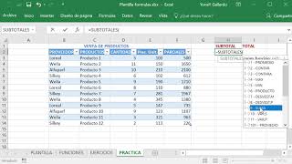 Cómo sacar Totales y Subtotales en EXCEL [upl. by Coridon]